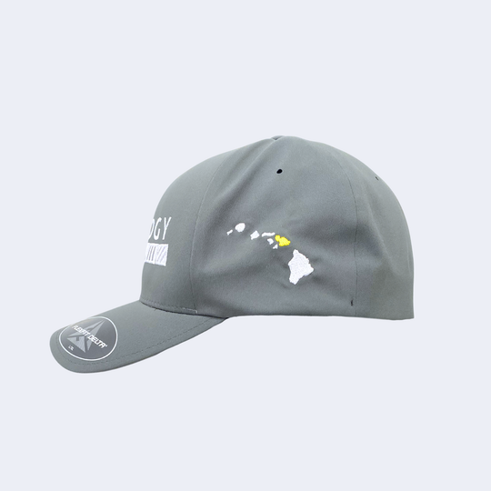 Trilogy Flexfit Hat in Light Gray