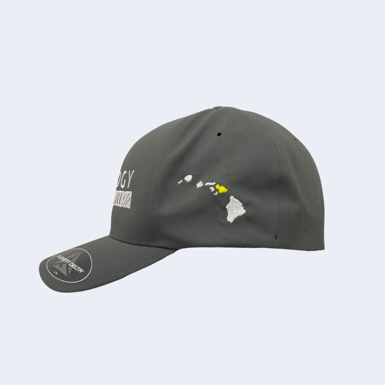 Trilogy Flexfit Hat in Light Gray